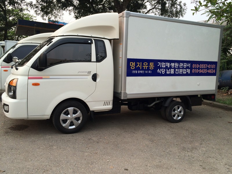 Hyundai Star Truck Dealer 